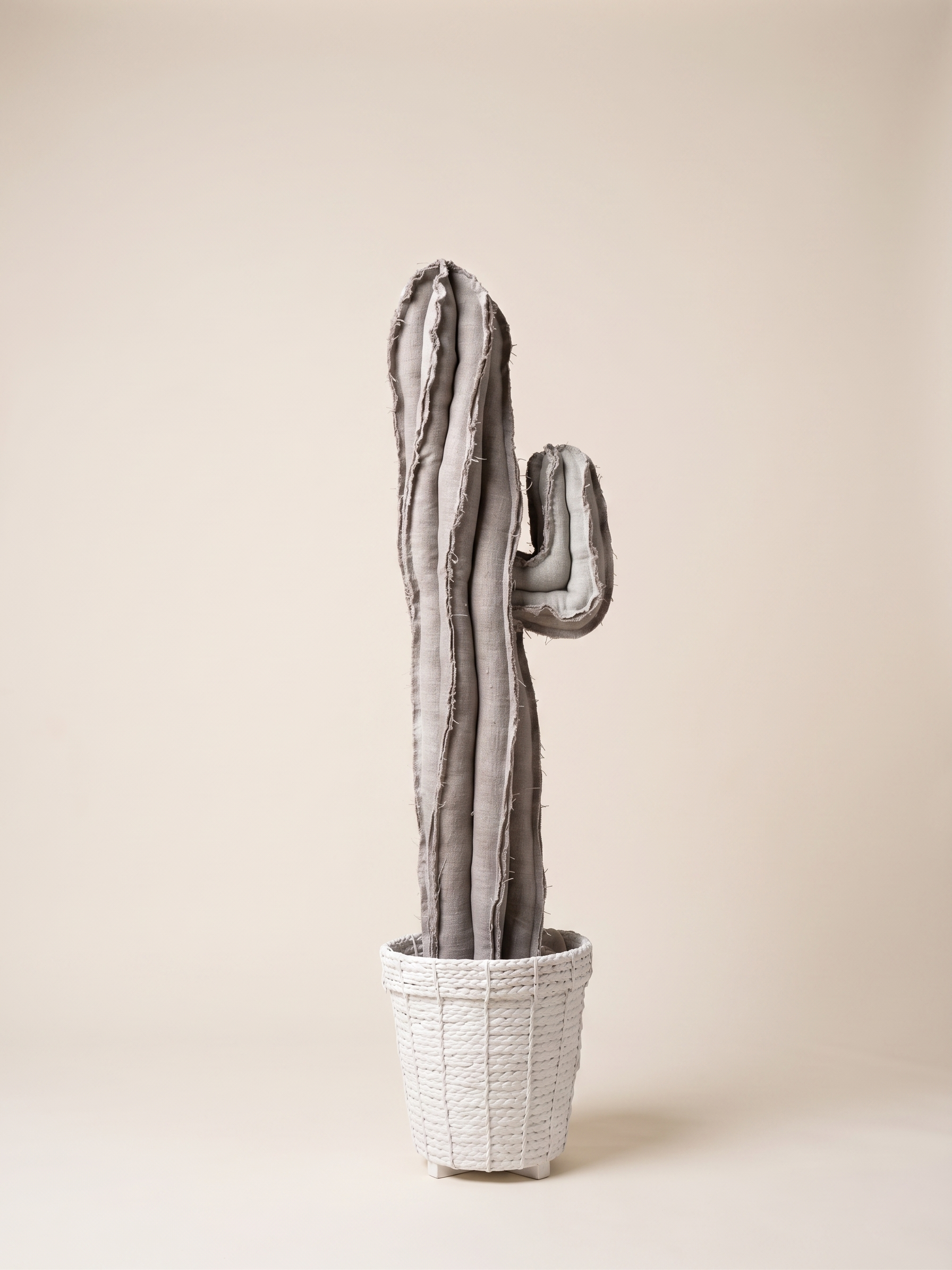 Cactus 70cm