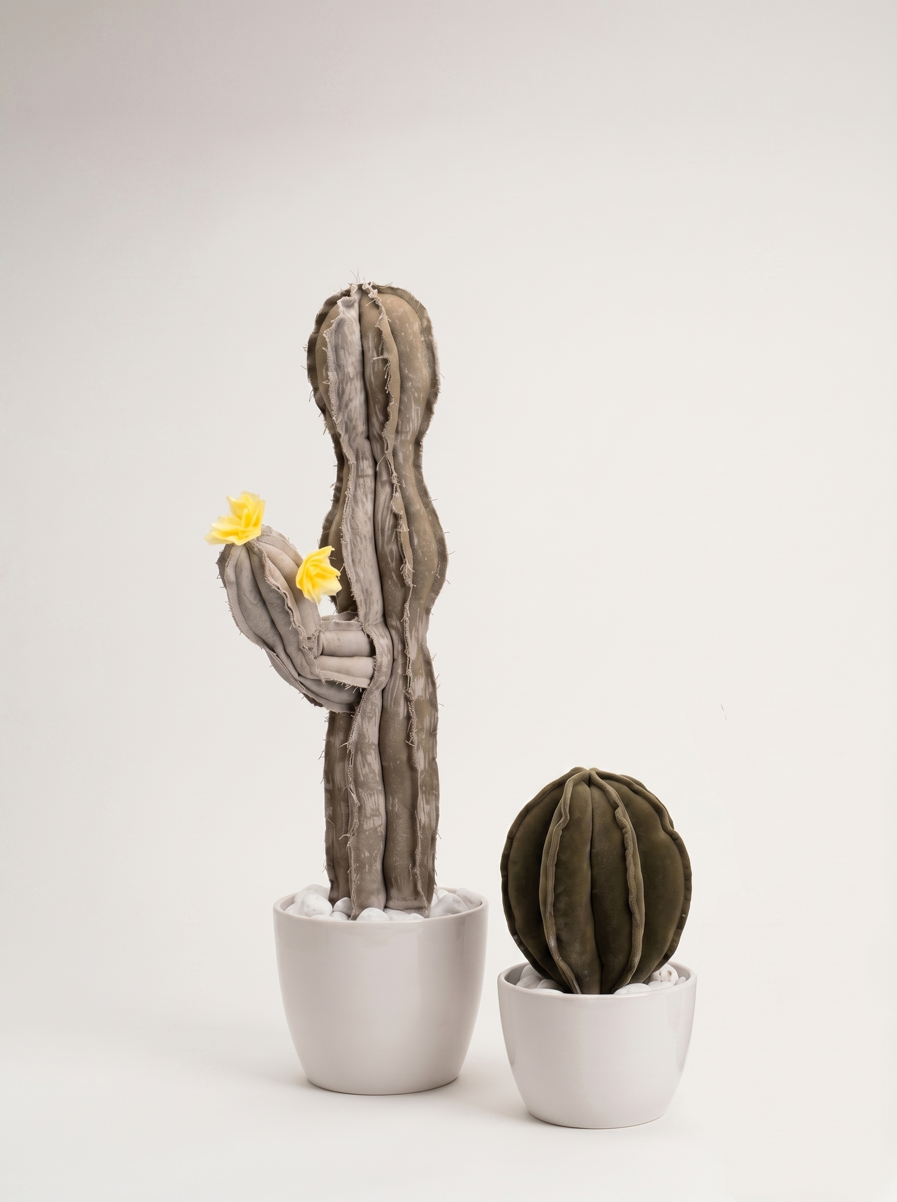 Doppio Cactus