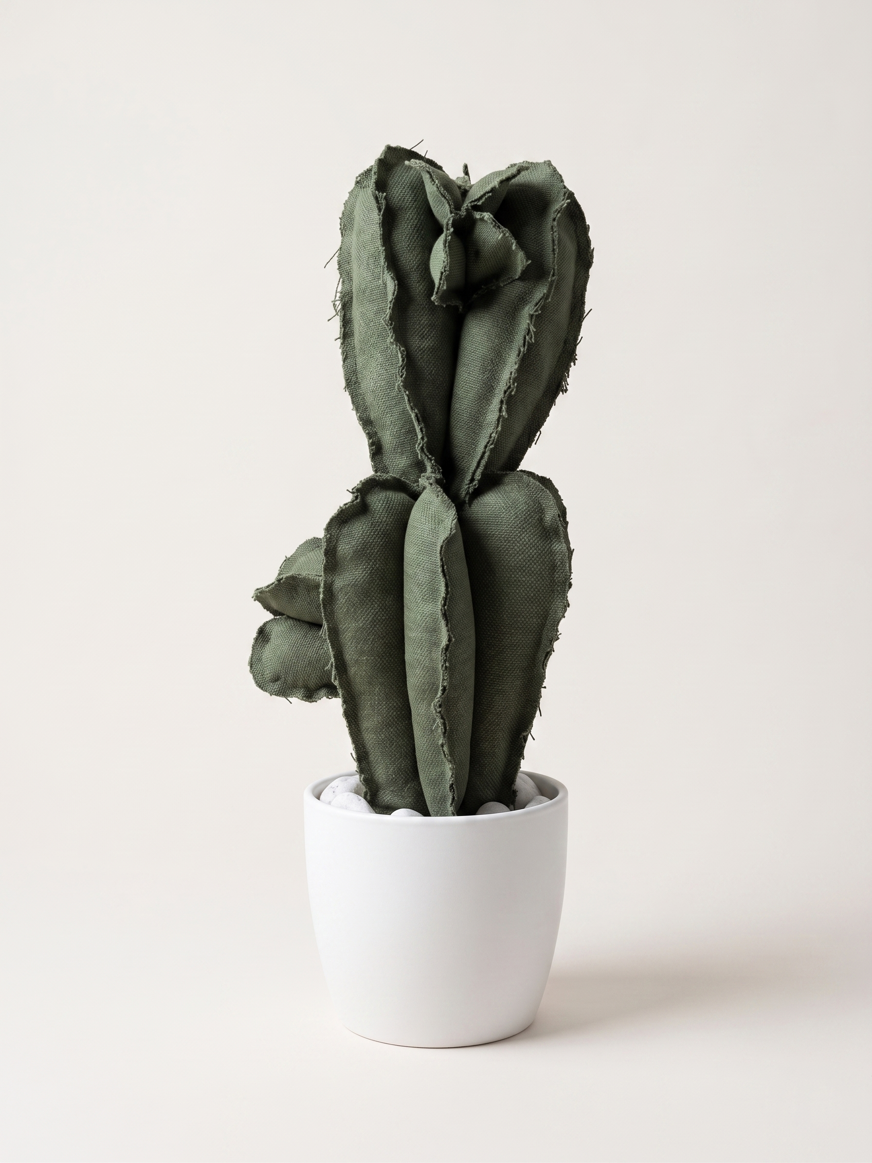 Cactus Medio