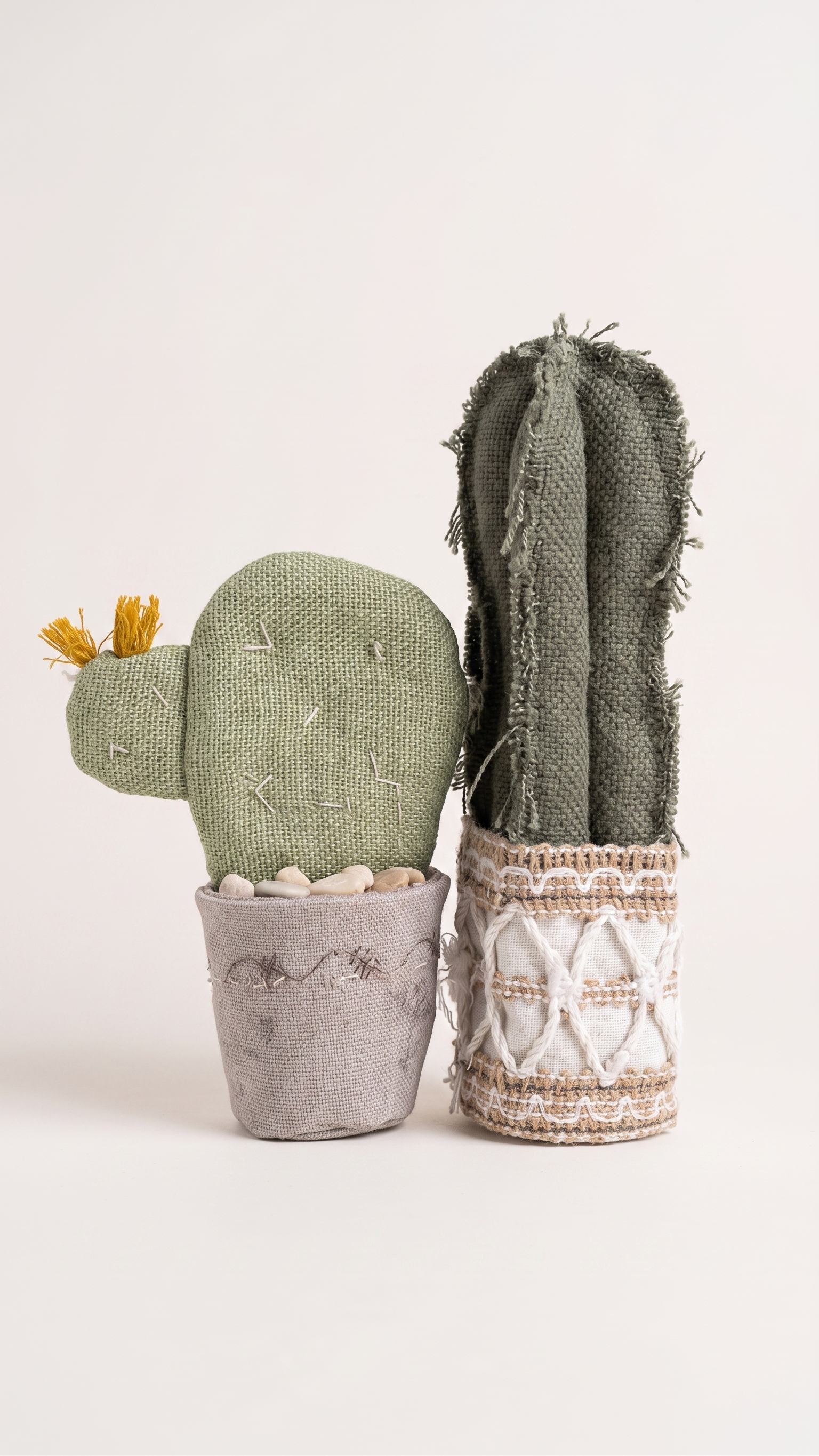Mini Cactus