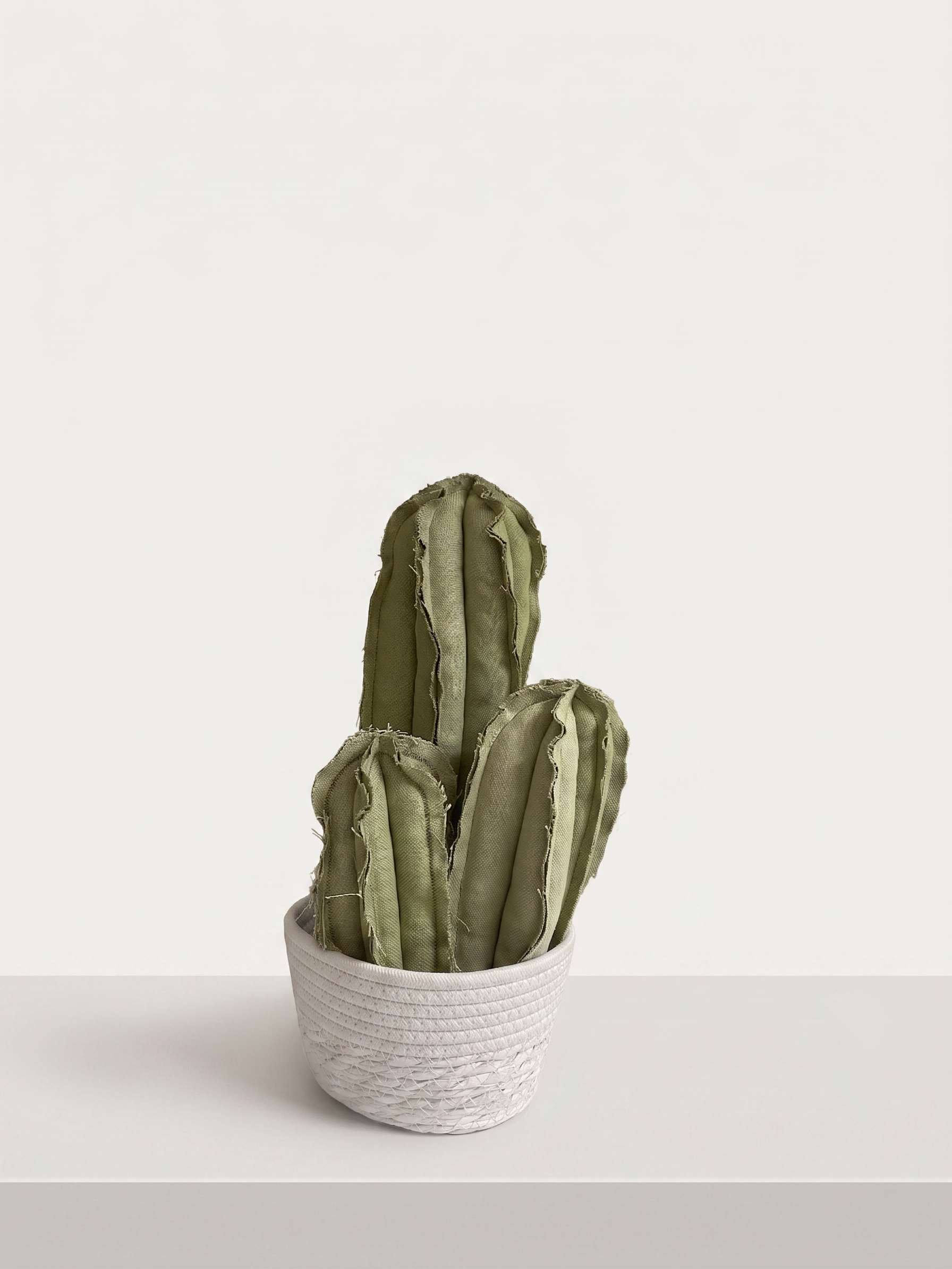 Tris Cactus